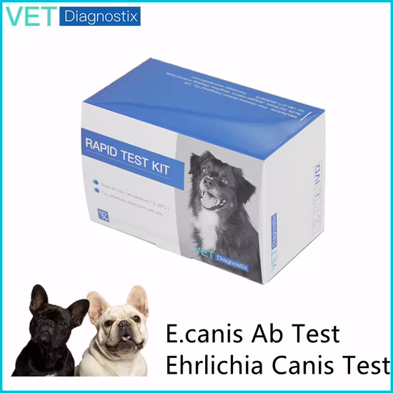 Kit per test rapido dell'ehrlichiosi Kit per test rapido Ehrlichia Canis nei cani